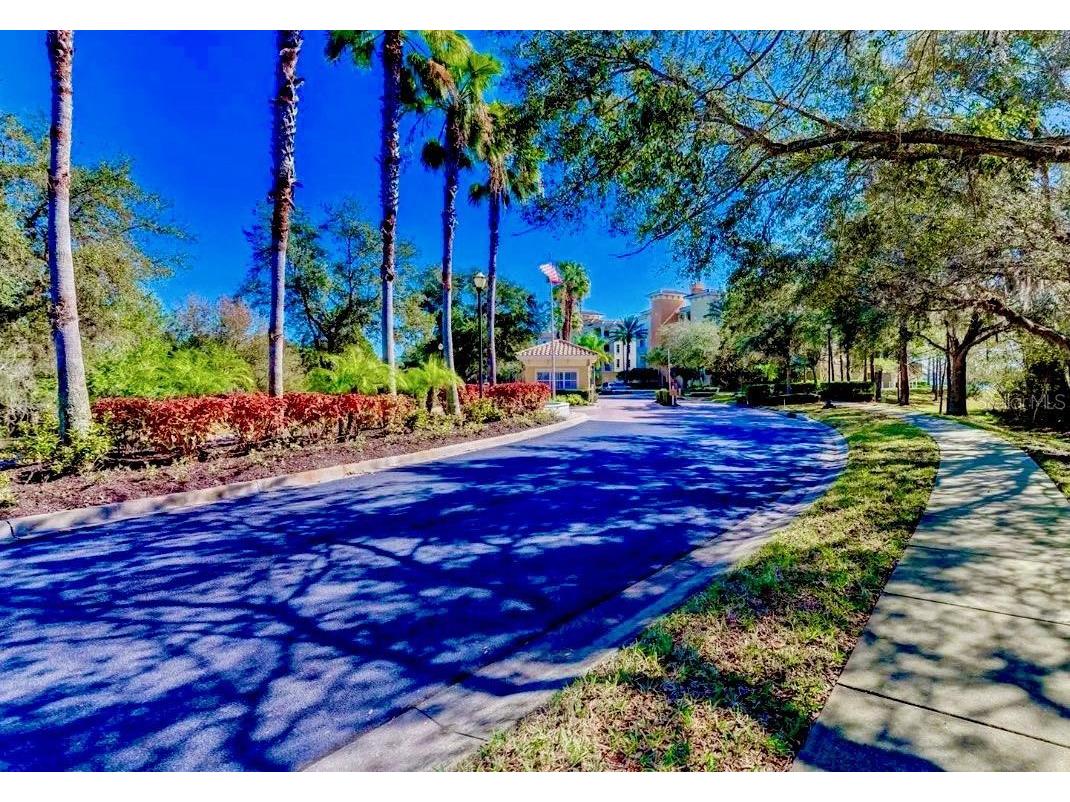 6450 Watercrest Way #402 Lakewood Ranch FL 34202 O6231098 image48