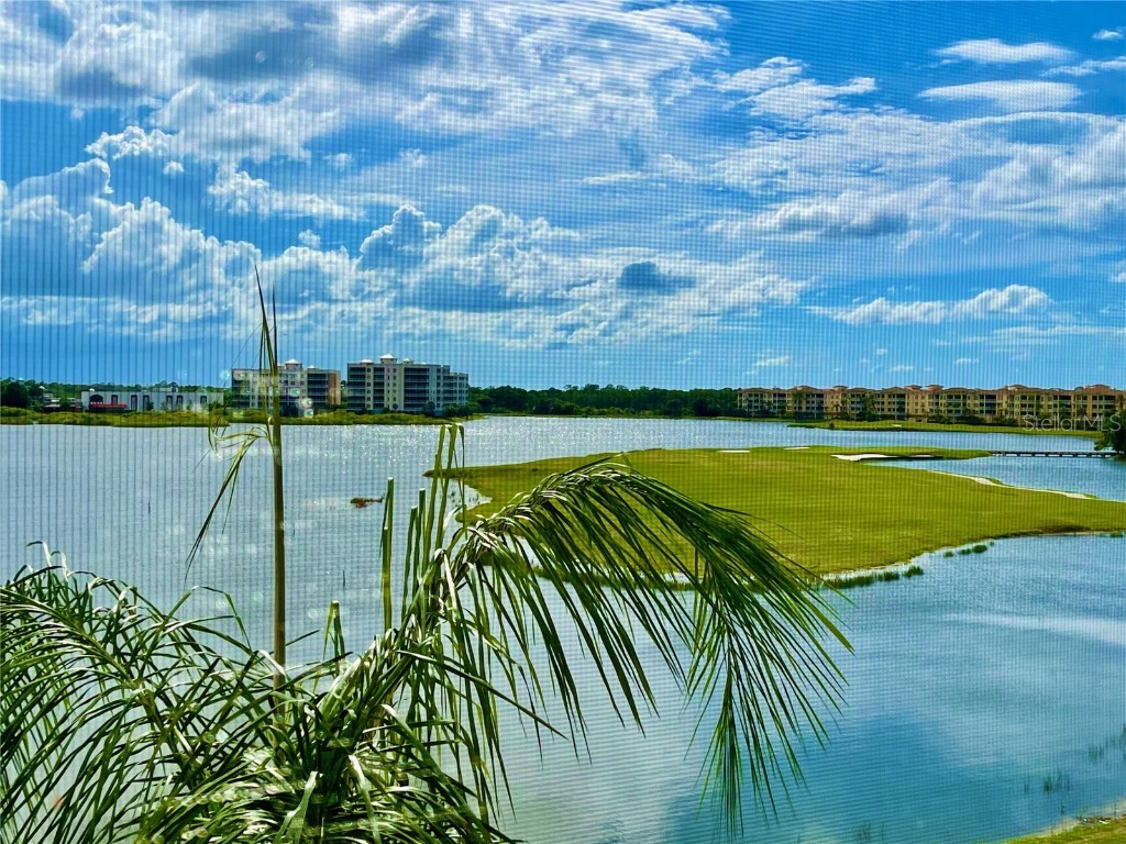 6450 Watercrest Way #402 Lakewood Ranch FL 34202 O6231098 image54