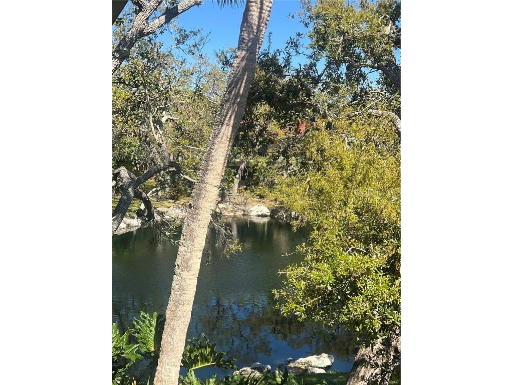 6450 Wild Oak Bay Boulevard #240 Bradenton FL 34210 A4644260 image22