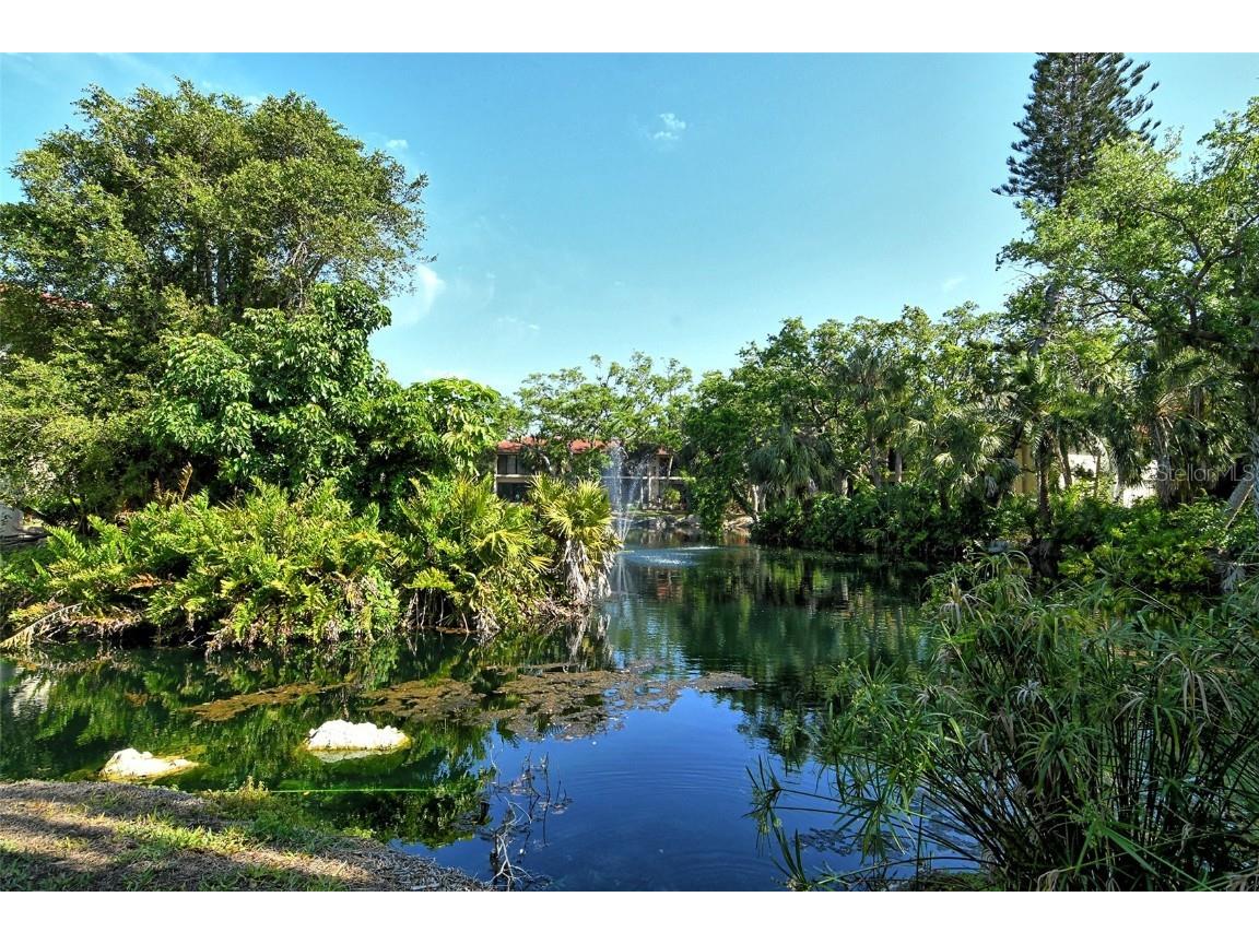 6450 Wild Oak Bay Boulevard #240 Bradenton FL 34210 A4644260 image68
