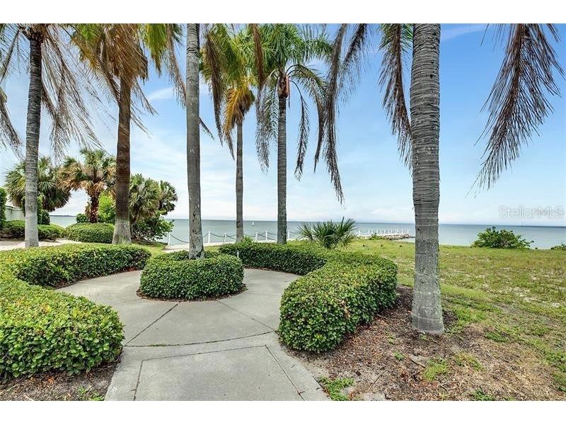 6451 Rubia Circle Apollo Beach FL 33572 TB8405711 image15