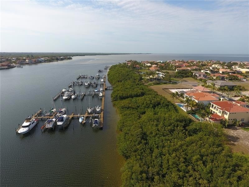 6451 Rubia Circle Apollo Beach FL 33572 TB8405711 image4