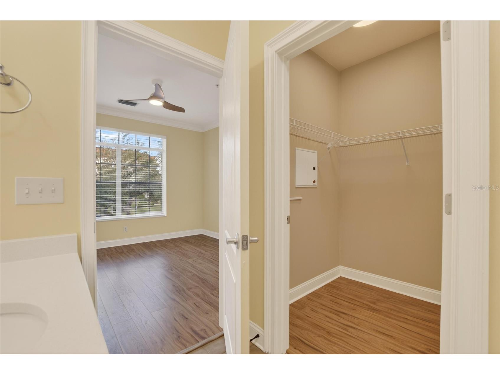 6451 Sunset Bay Circle Apollo Beach FL 33572 TB8464366 image31