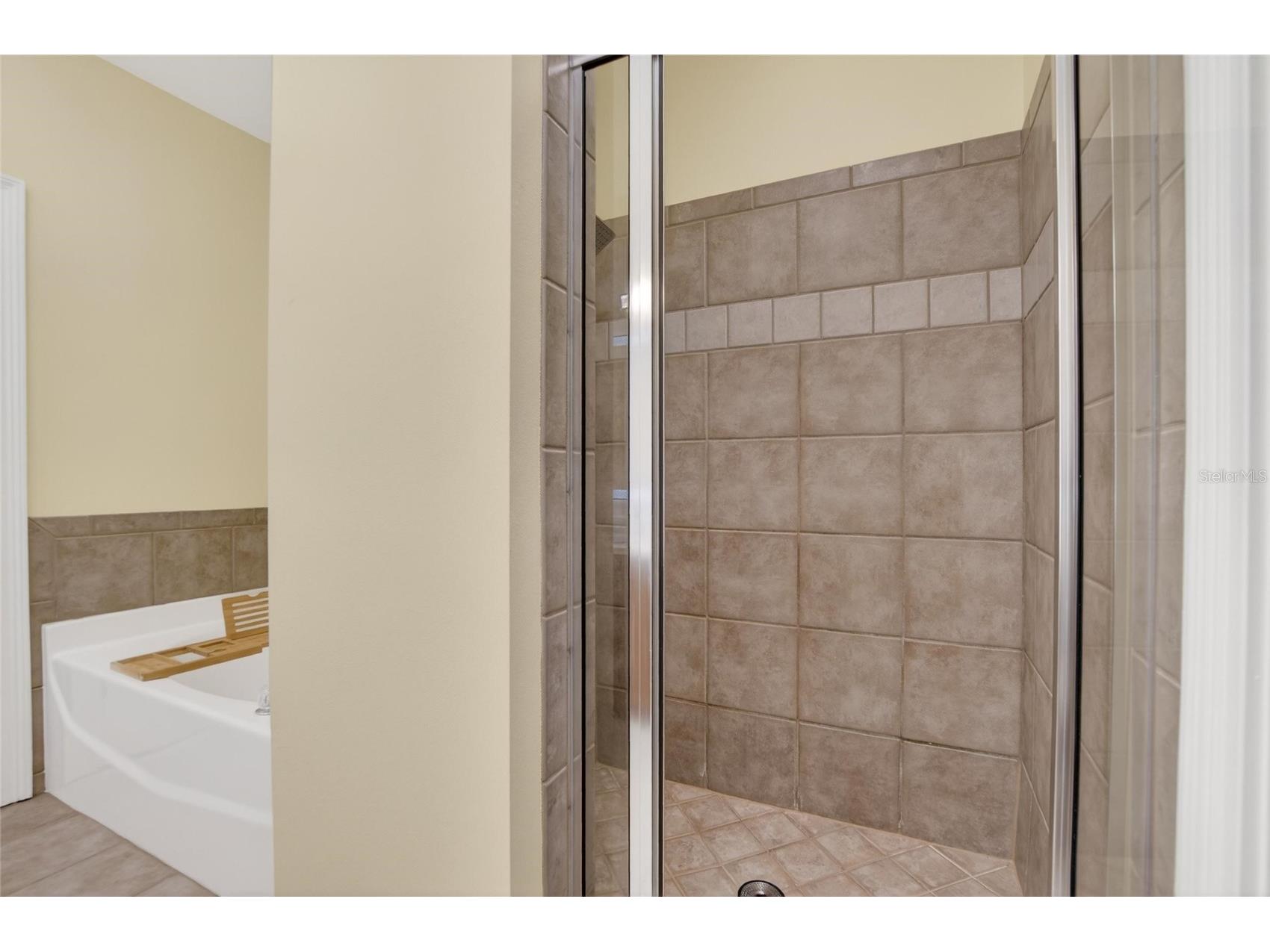 6451 Sunset Bay Circle Apollo Beach FL 33572 TB8464366 image44