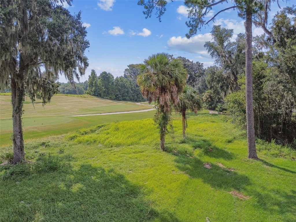 6452 Summit View Drive Brooksville FL 34601 W7872551 image5