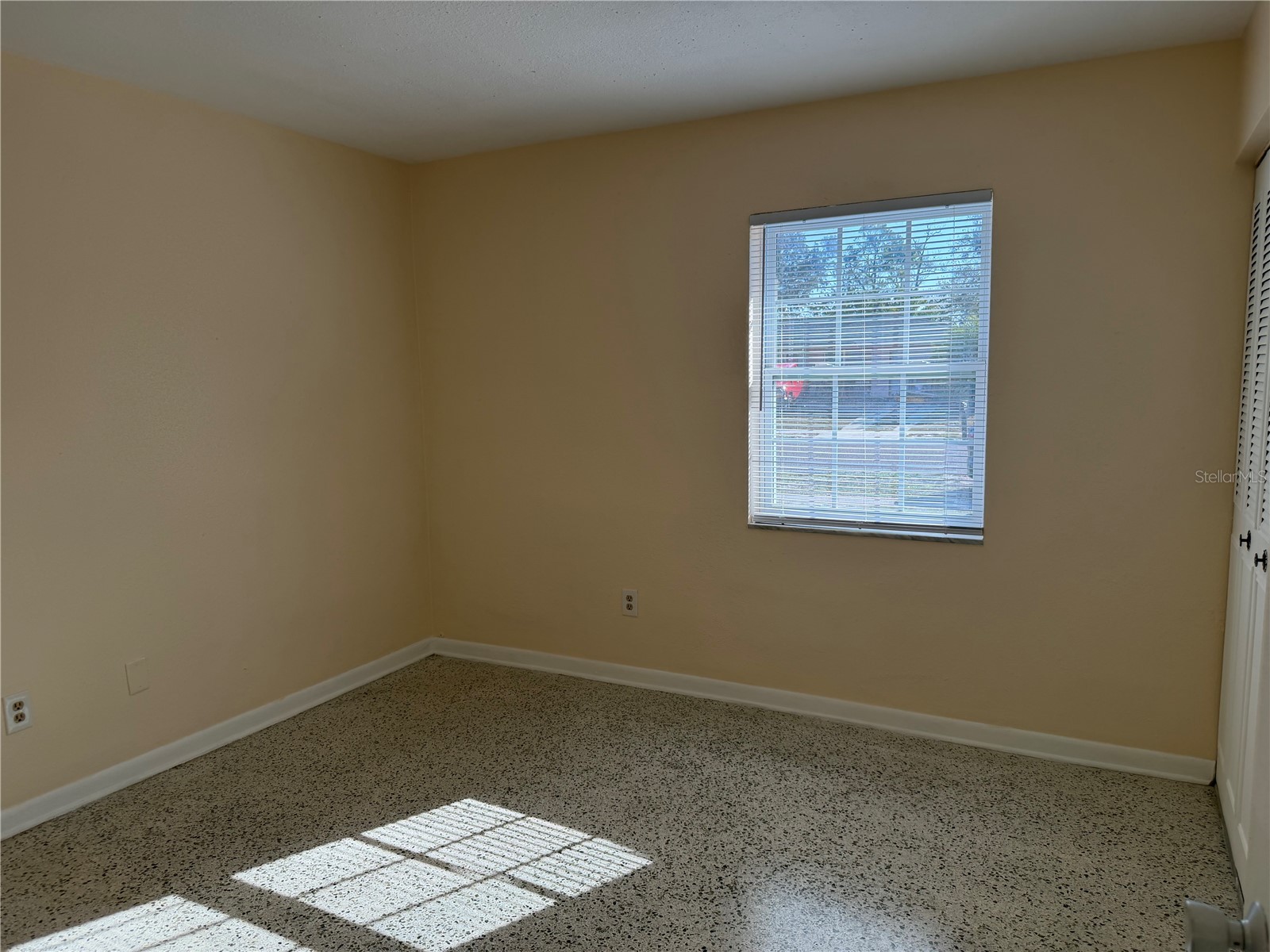 6452 Treehaven Drive Spring Hill FL 34606 W7883188 image16