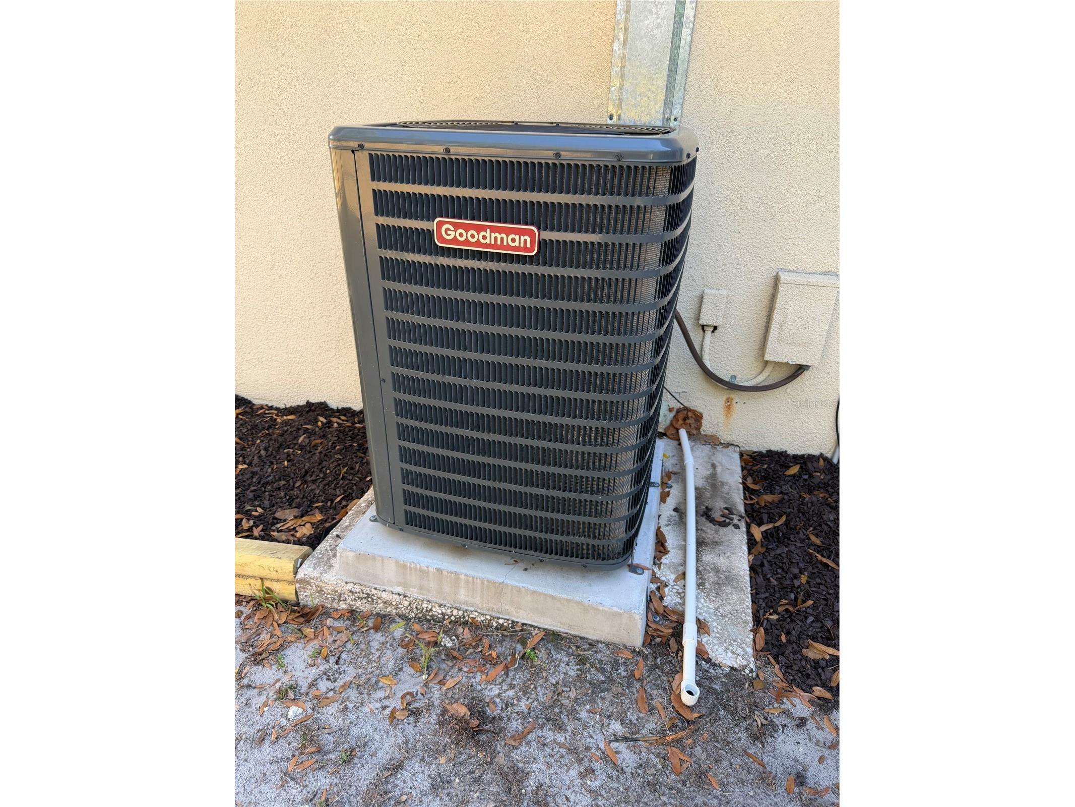 6452 Treehaven Drive Spring Hill FL 34606 W7883188 image28