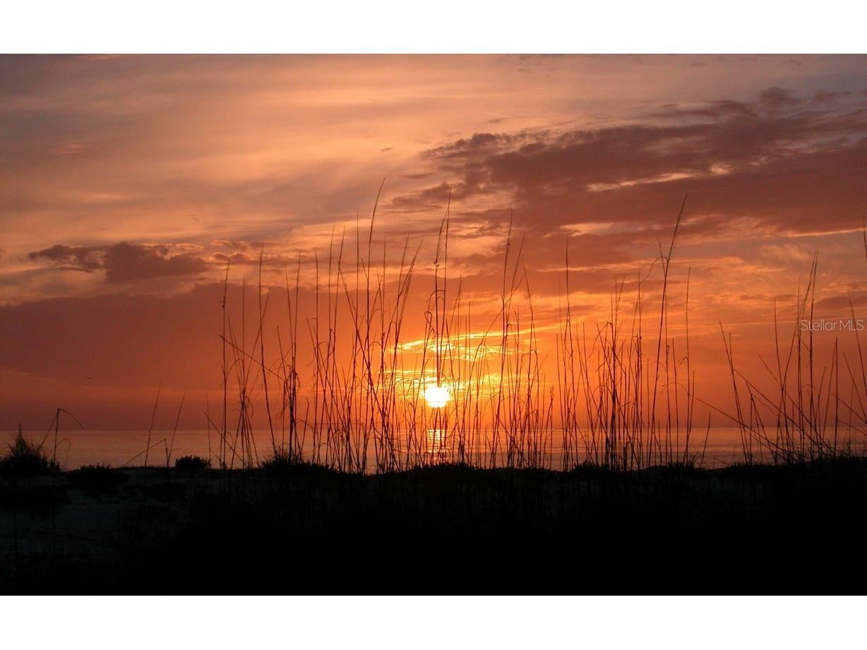 6453 Gulfside Road Longboat Key FL 34228 A4661066 image19