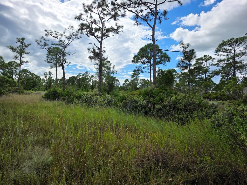 6453 Sweden Boulevard Punta Gorda FL 33982 N6140817 image5