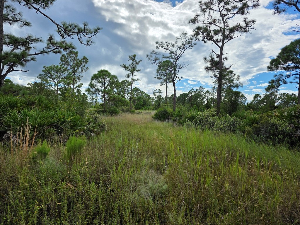 6453 Sweden Boulevard Punta Gorda FL 33982 N6140817 image6