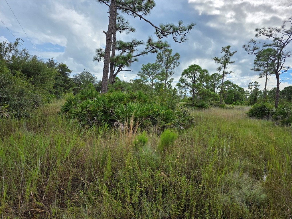 6453 Sweden Boulevard Punta Gorda FL 33982 N6140817 image7