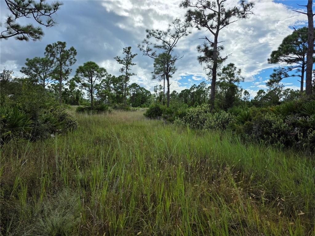 6453 Sweden Boulevard Punta Gorda FL 33982 N6140817 image8