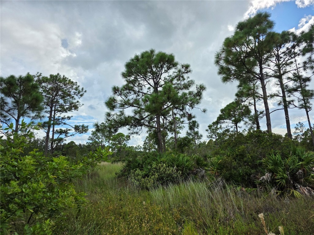 6453 Sweden Boulevard Punta Gorda FL 33982 N6140817 image9