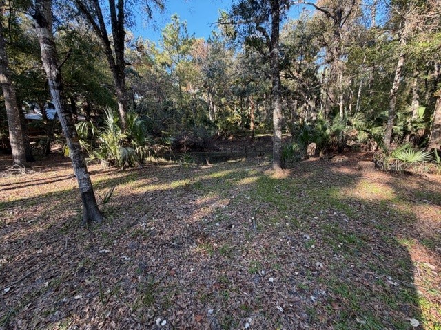 6455 E Sioux Canal Drive Hernando FL 34442 OM713813 image7