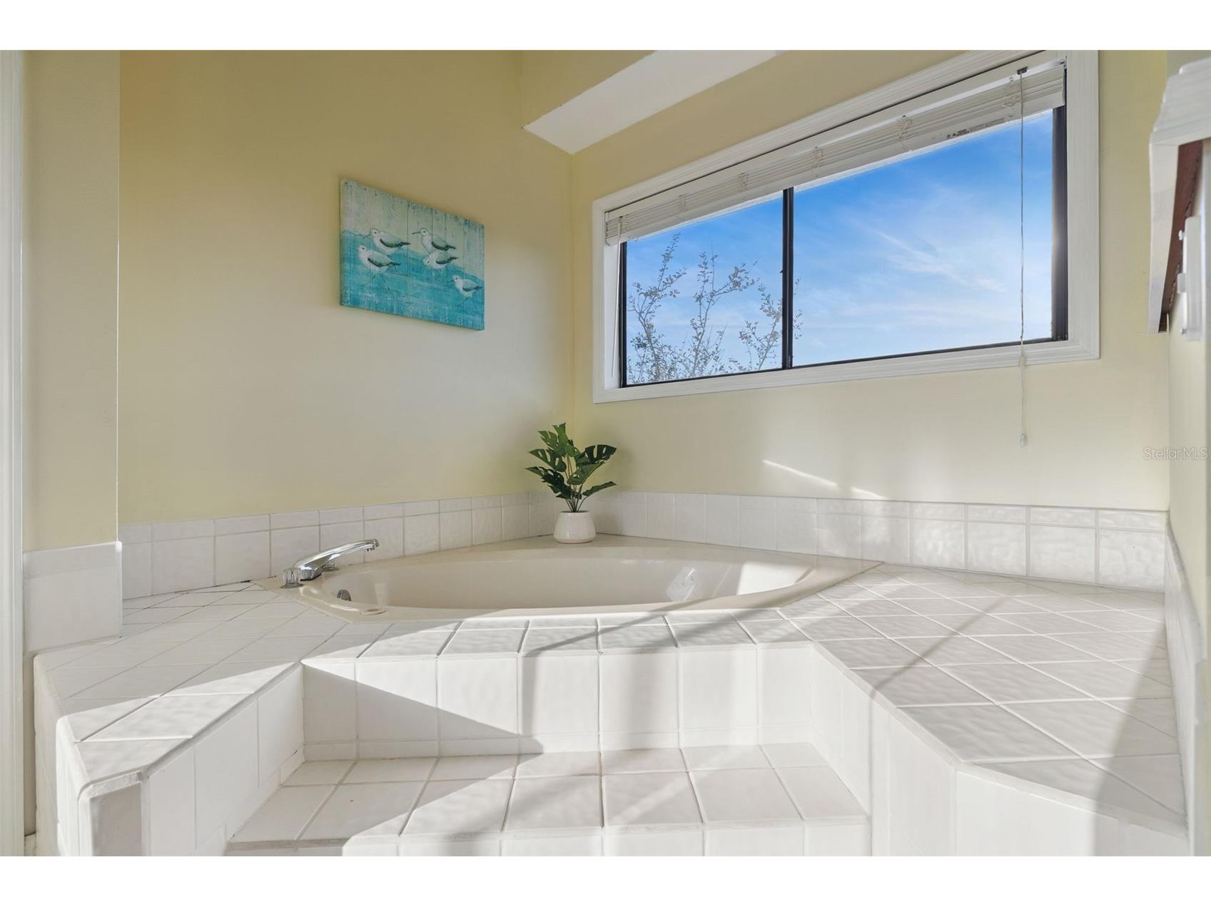 6455 Engram Road New Smyrna Beach FL 32169 - ATLANTIC OCEAN BETHUNE BEACH FC315514 image41