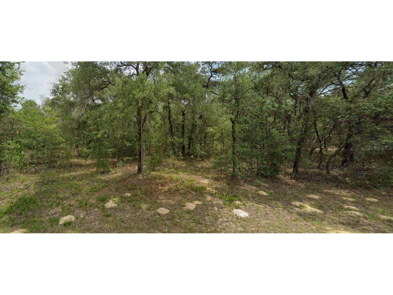 6455 N Whispering Dr Citrus Springs FL 34434 OM705333 image1