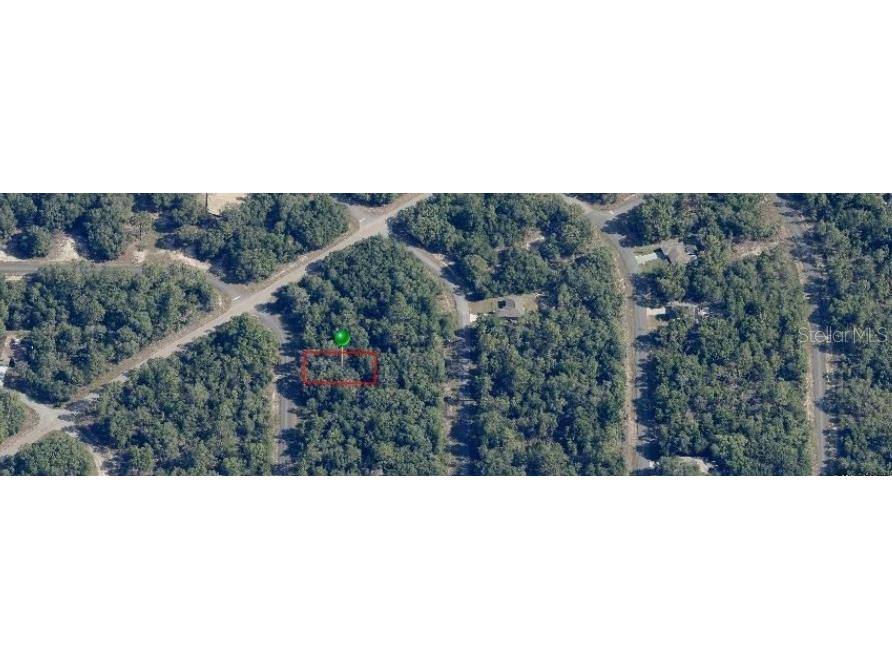 6455 N Whispering Dr Citrus Springs FL 34434 OM705333 image2