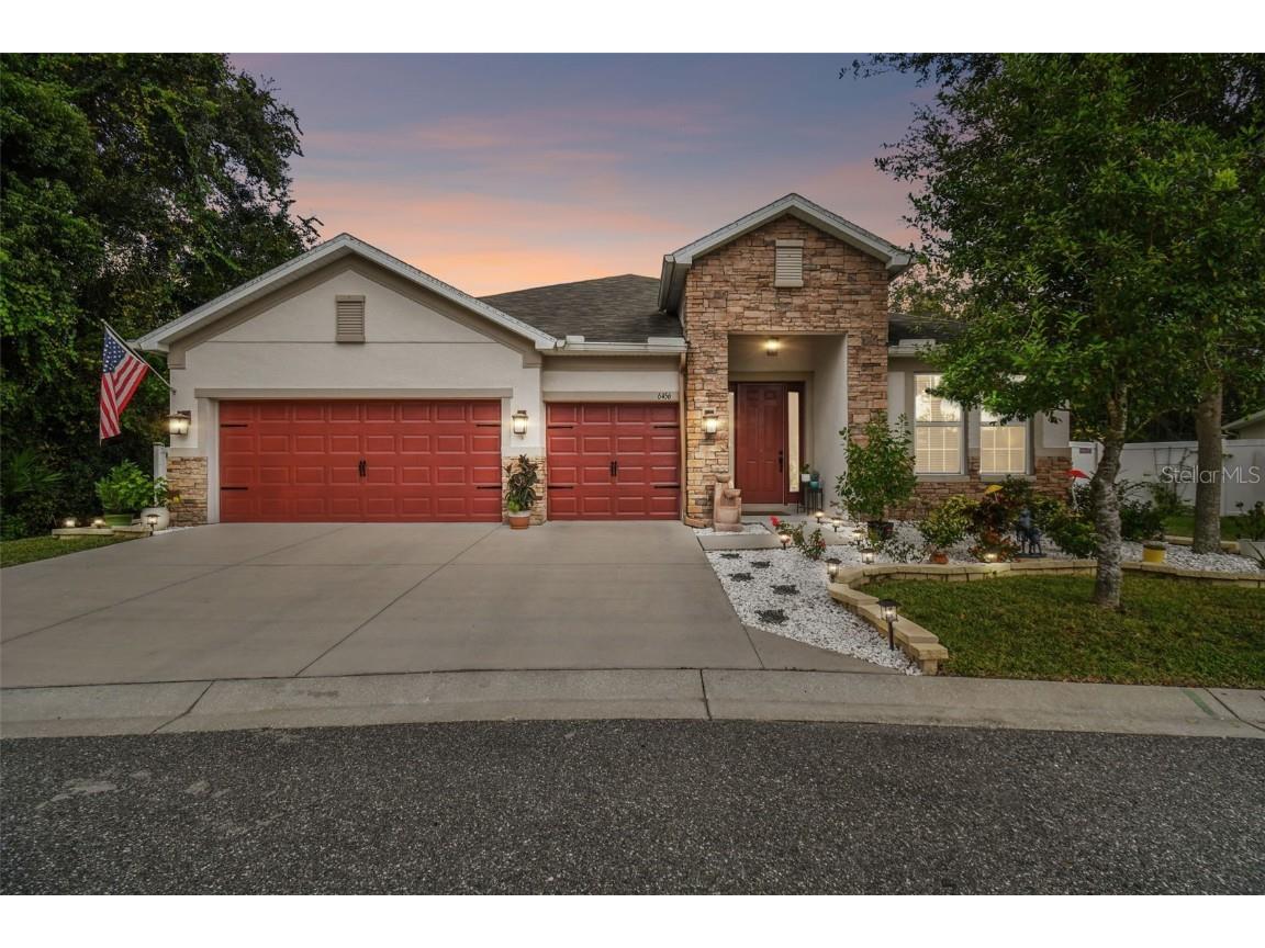 6456 Doe Path Court Wesley Chapel FL 33545 T3481698 image1