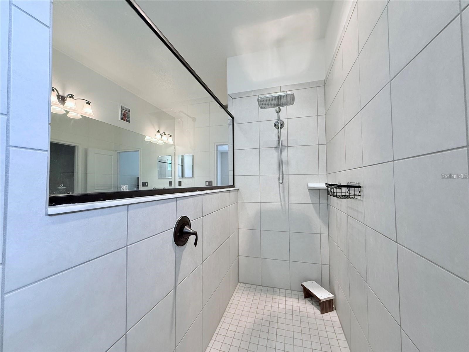 6456 Doe Path Court Wesley Chapel FL 33545 TB8529522 image20