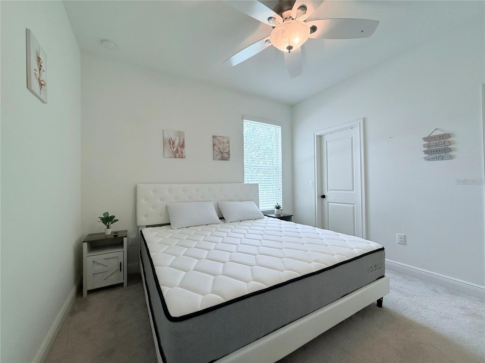 6456 Doe Path Court Wesley Chapel FL 33545 TB8529522 image23