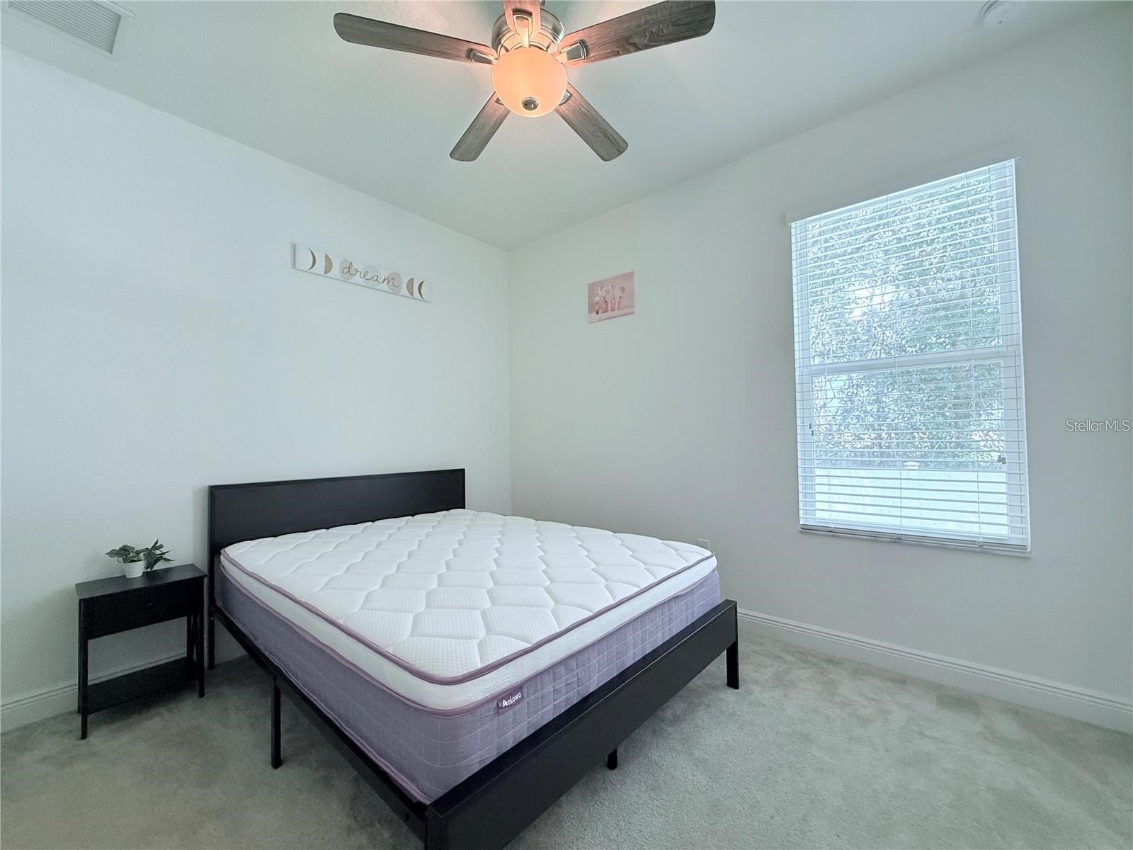 6456 Doe Path Court Wesley Chapel FL 33545 TB8529522 image25