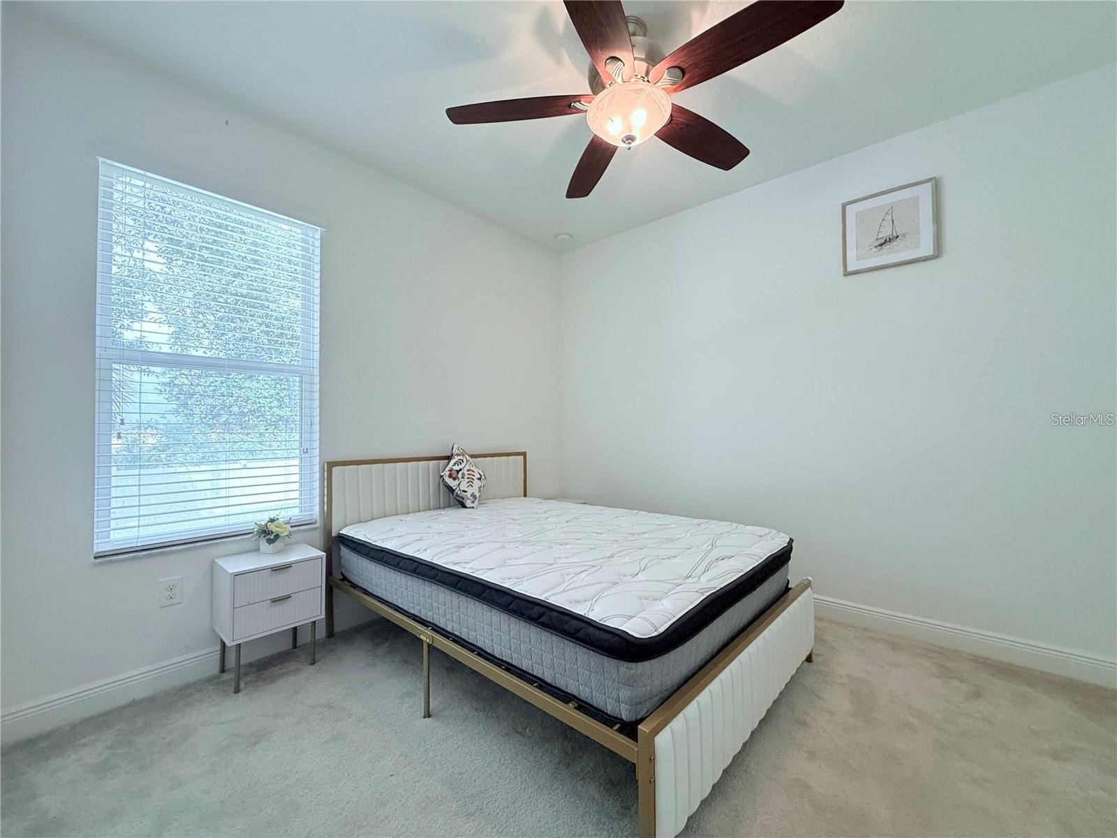 6456 Doe Path Court Wesley Chapel FL 33545 TB8529522 image27