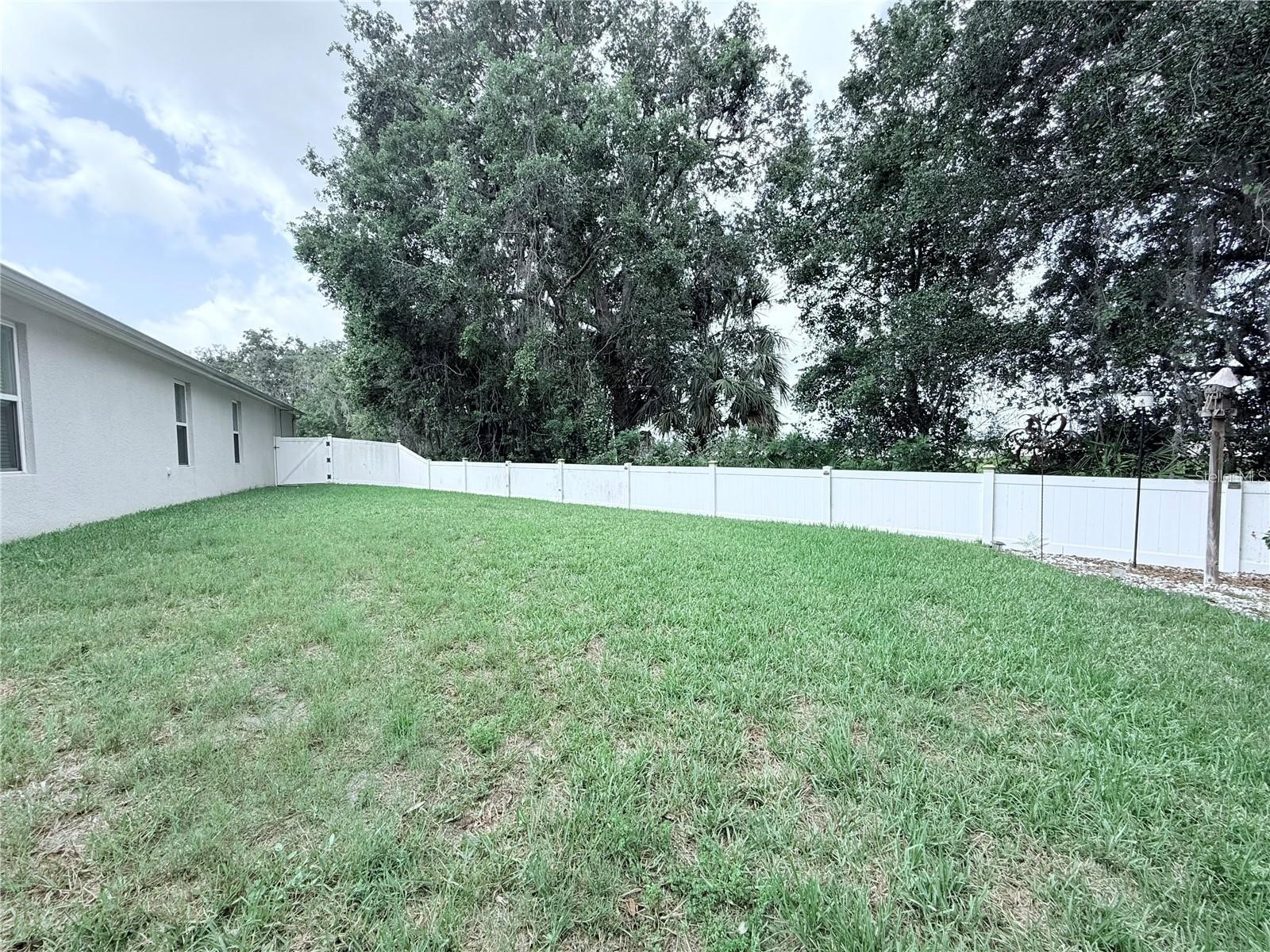 6456 Doe Path Court Wesley Chapel FL 33545 TB8529522 image33