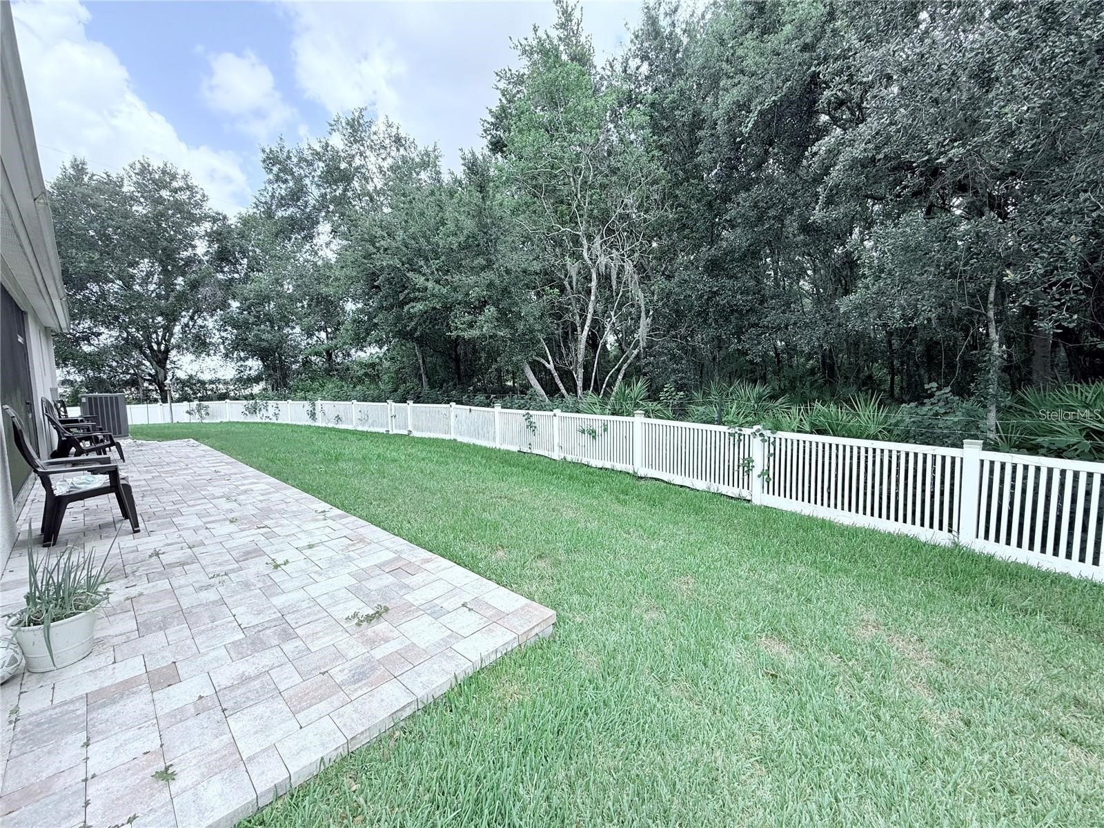 6456 Doe Path Court Wesley Chapel FL 33545 TB8529522 image35