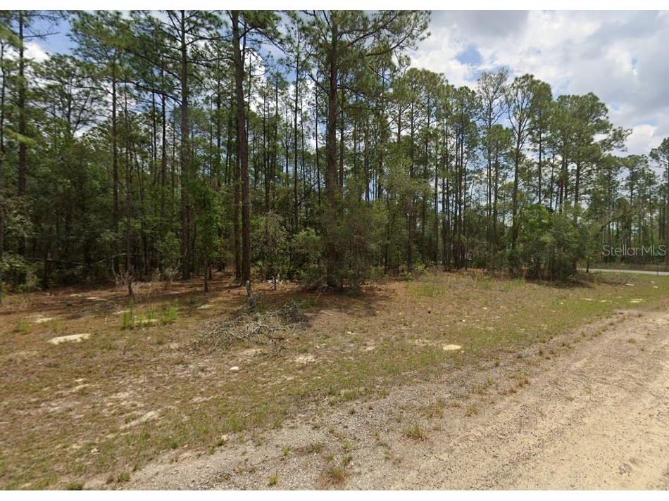 6457 N Baylor Terrace Dunnellon FL 34433 T3533863 image1