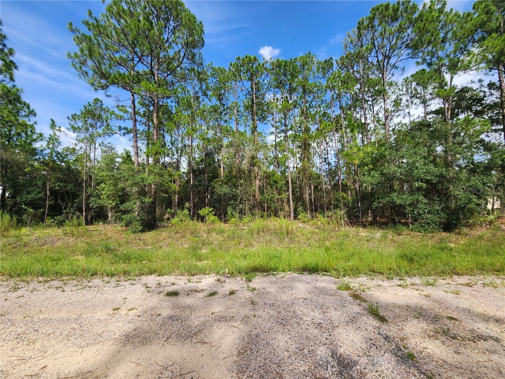 6457 N Baylor Terrace Dunnellon FL 34433 OM682789 image1