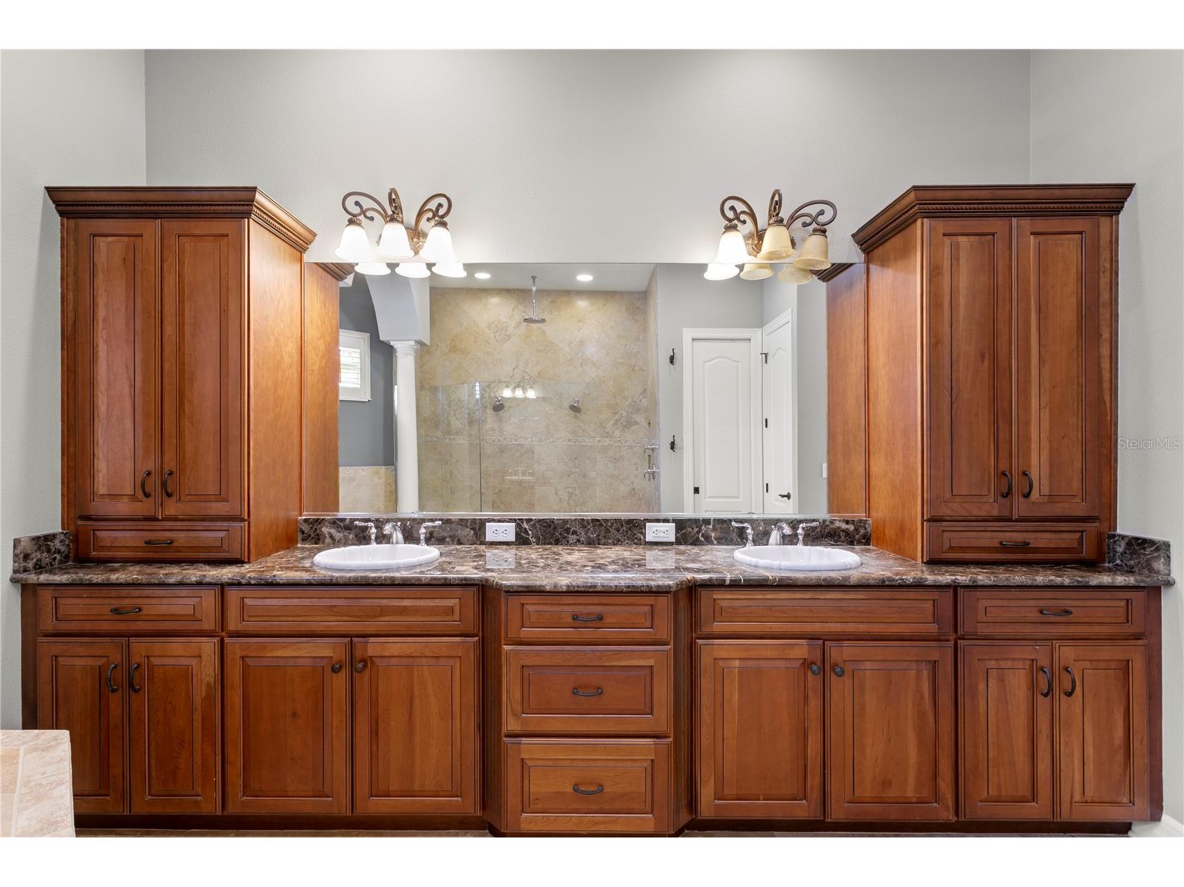 6459 Rubia Circle Apollo Beach FL 33572 TB8517345 image40