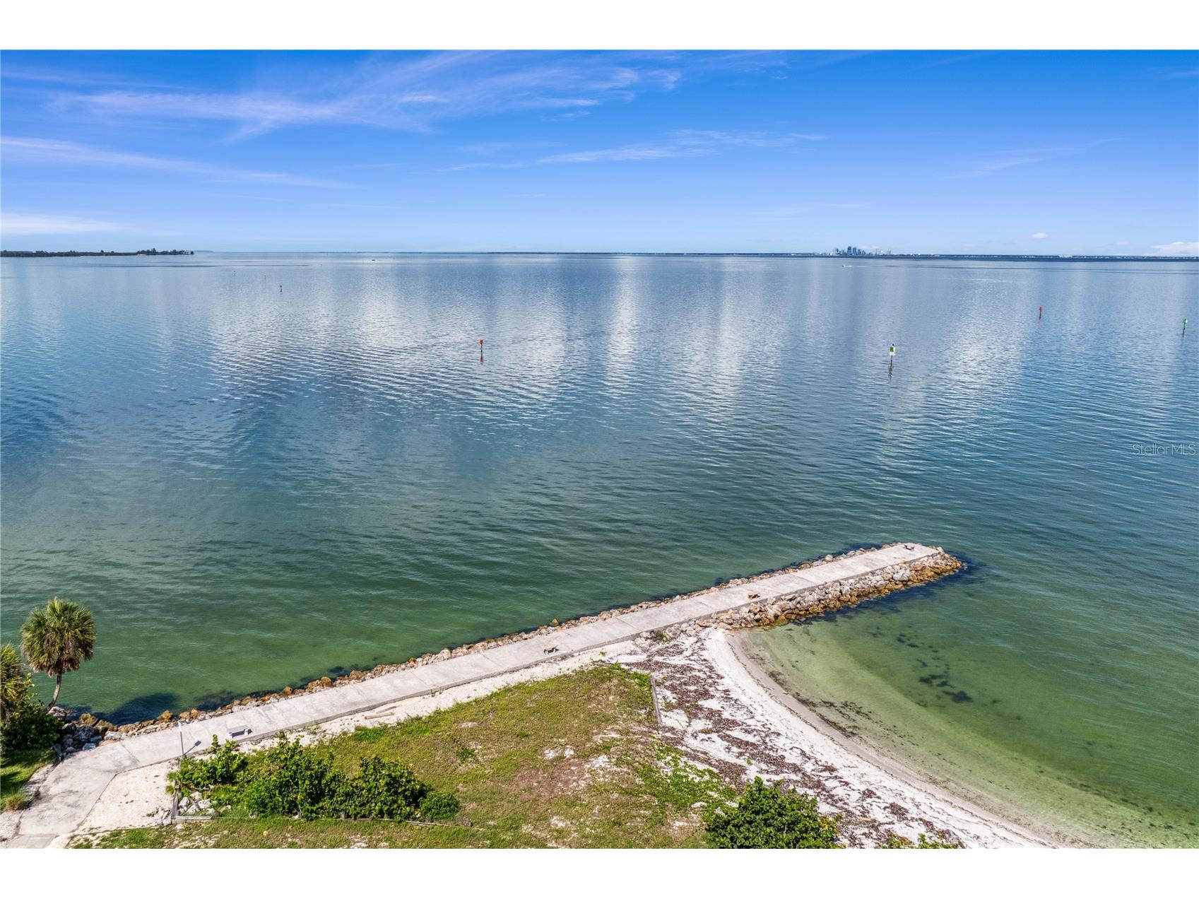 6459 Rubia Circle Apollo Beach FL 33572 TB8517345 image92