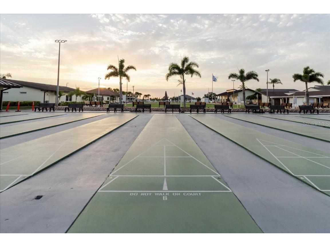 646 Allegheny Drive Sun City Center FL 33573 TB8375917 image59