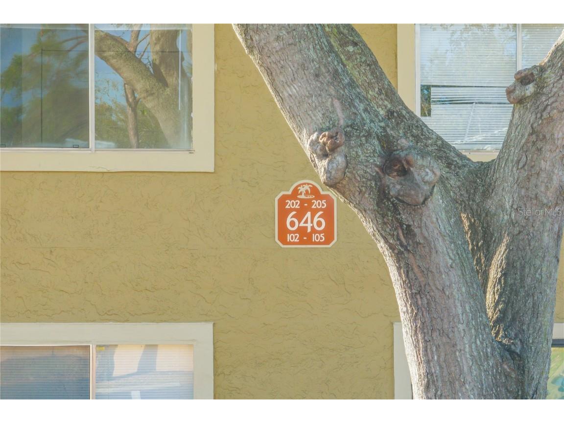 646 Kenwick Circle #204 Casselberry FL 32707 O6368863 image52