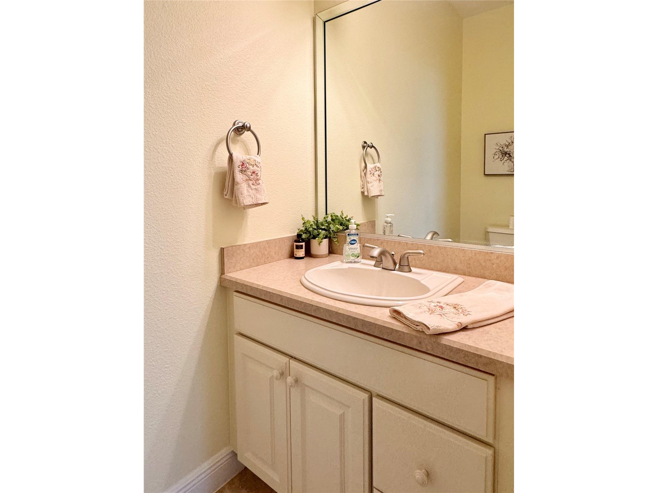 646 Murphys Estate Drive The Villages FL 32162 G5114440 image23