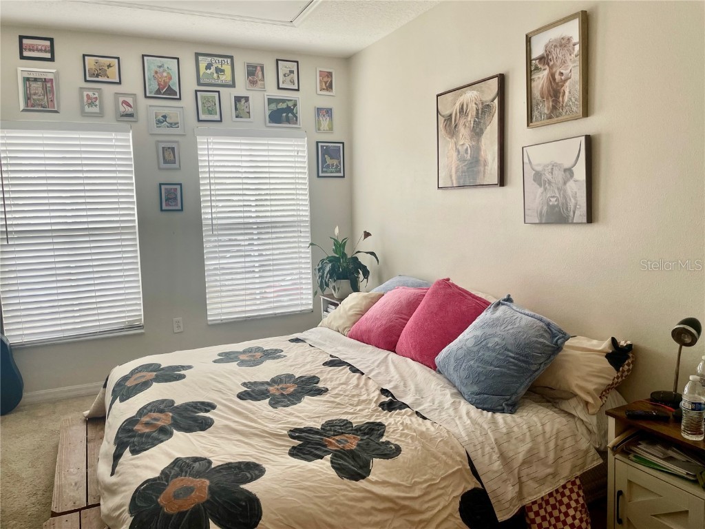 646 Norfolk Street Dunedin FL 34698 TB8456841 image24