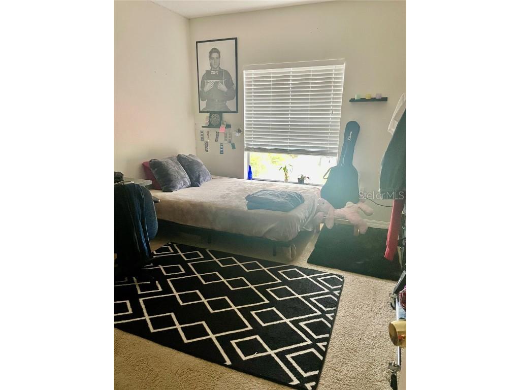 646 Norfolk Street Dunedin FL 34698 TB8456841 image26