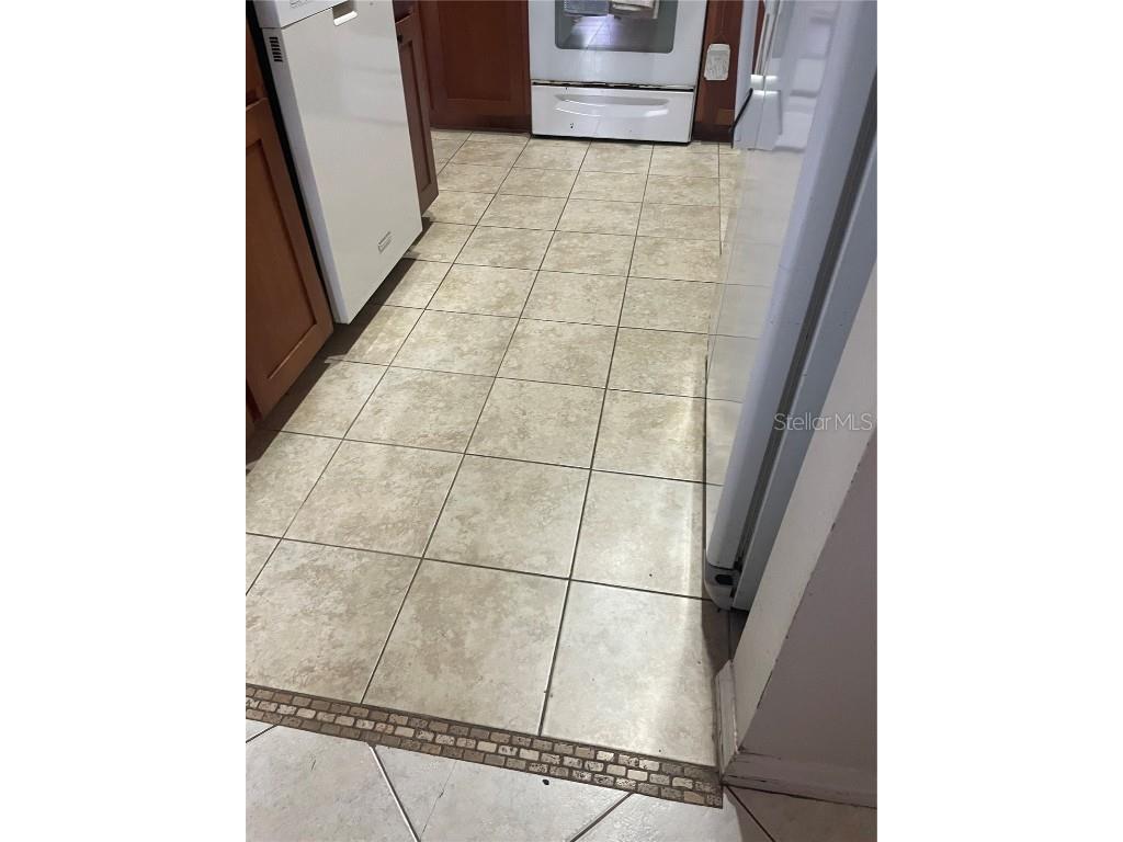 646 Norfolk Street Dunedin FL 34698 TB8456841 image28