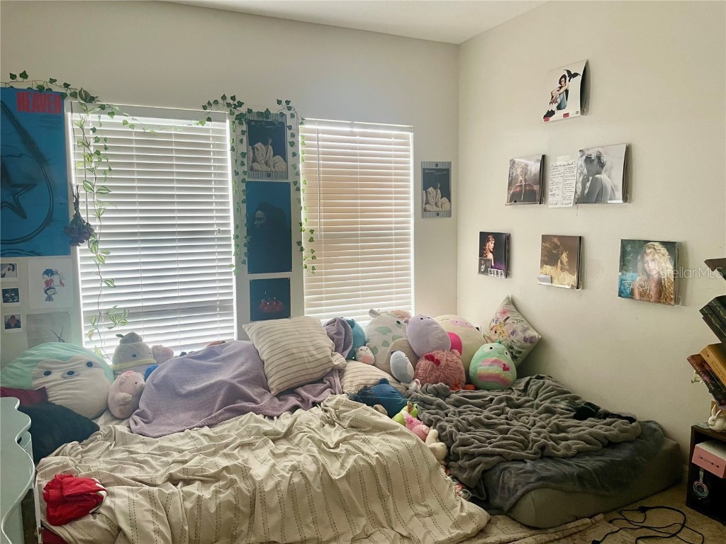 646 Norfolk Street Dunedin FL 34698 TB8456956 image11