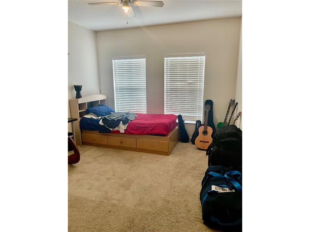 646 Norfolk Street Dunedin FL 34698 TB8456956 image23