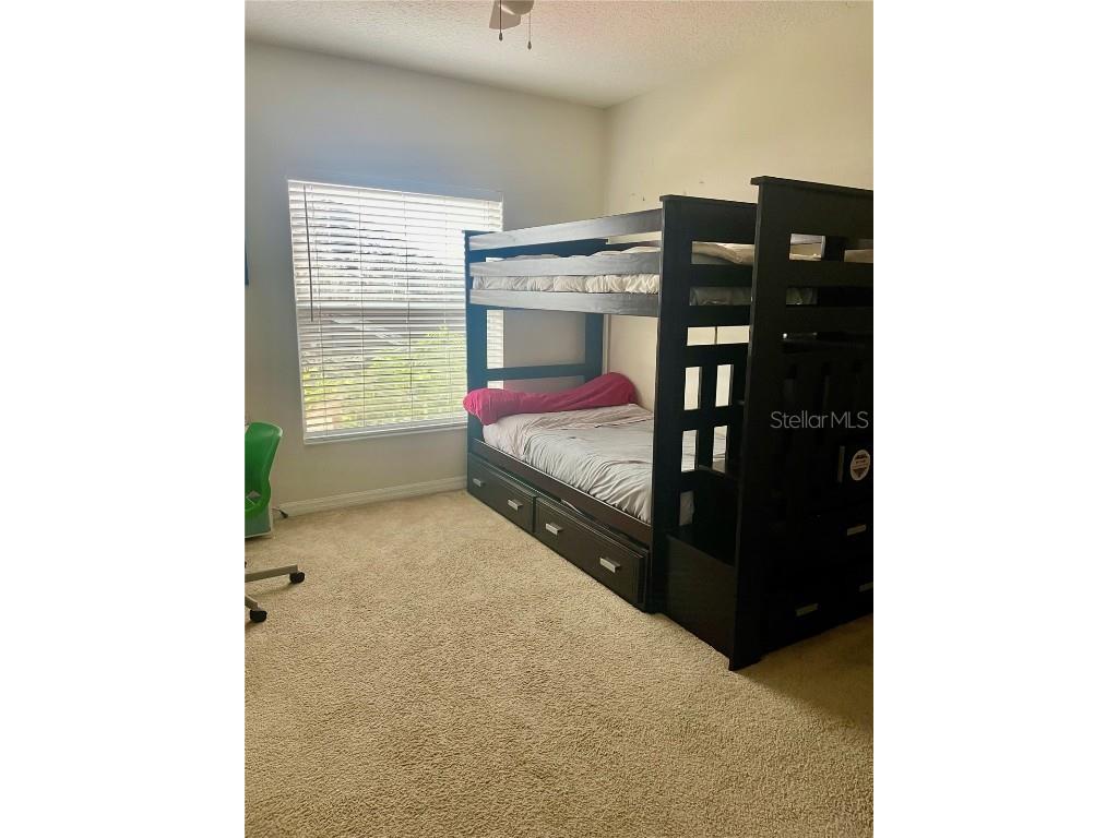 646 Norfolk Street Dunedin FL 34698 TB8456956 image27