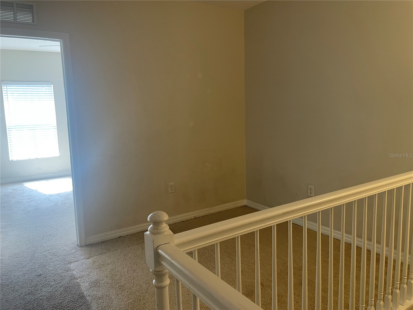 646 Norfolk Street Dunedin FL 34698 TB8456956 image30