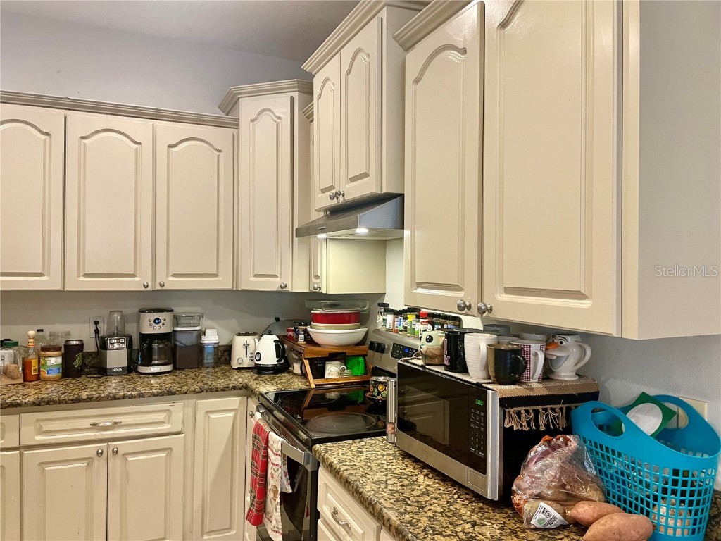 646 Norfolk Street Dunedin FL 34698 TB8456956 image5