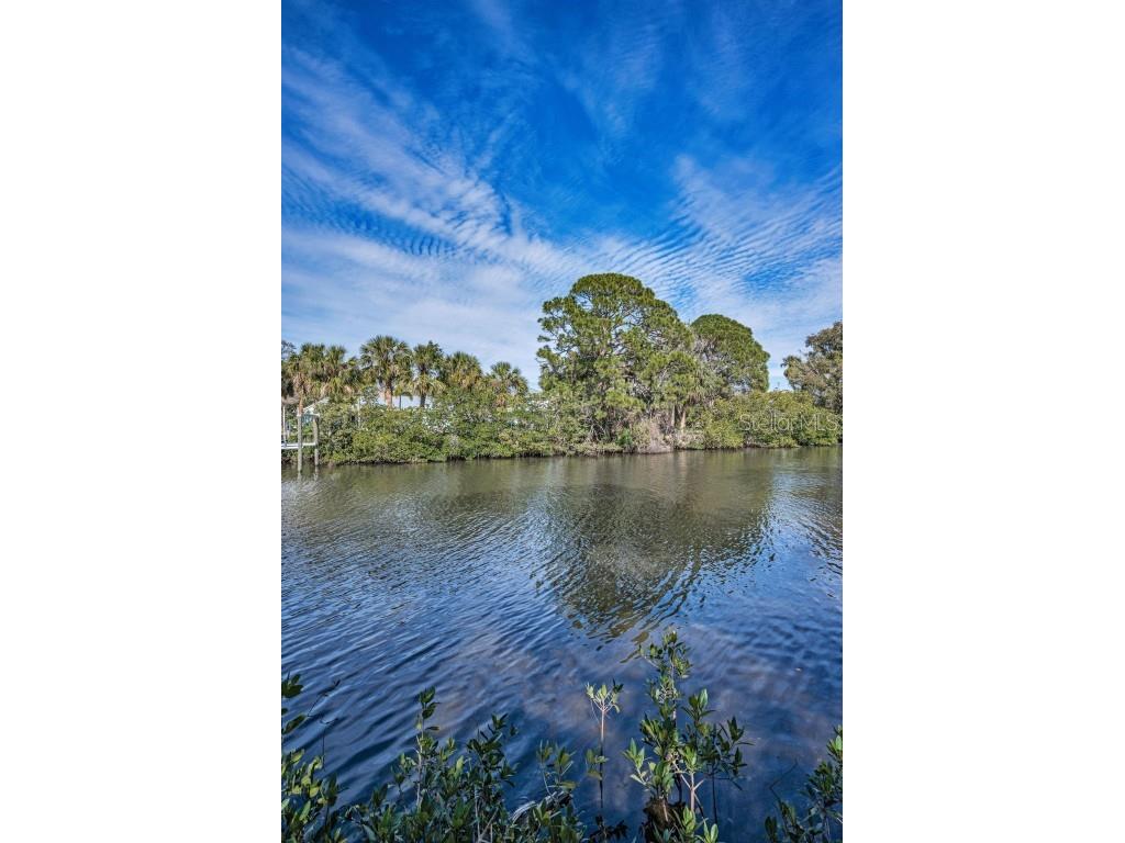 646 Riverside Drive Tarpon Springs FL 34689 W7872675 image66