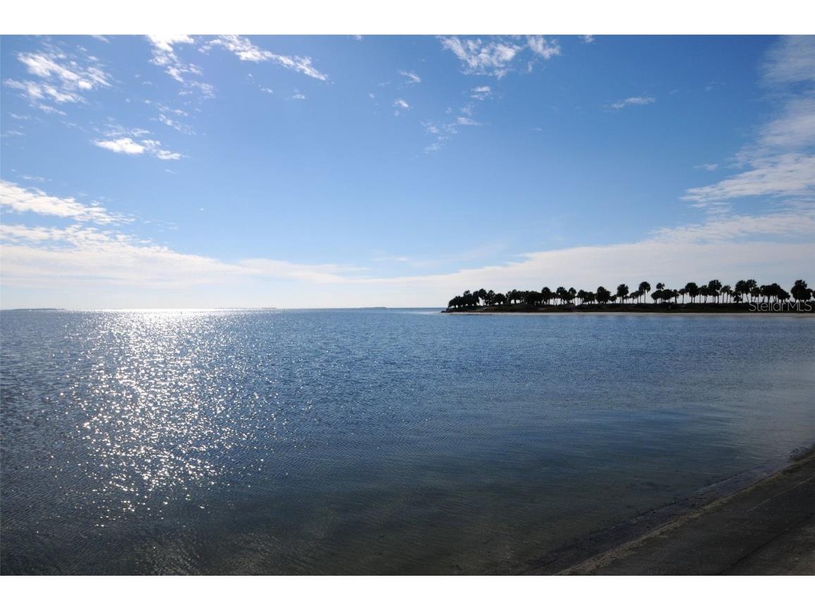 646 Riverside Drive Tarpon Springs FL 34689 W7872675 image89