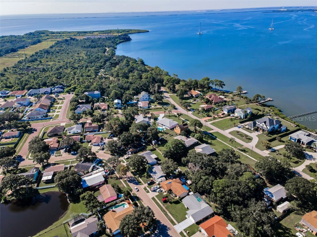 646 Timber Bay Circle W Oldsmar FL 34677 W7879421 image41