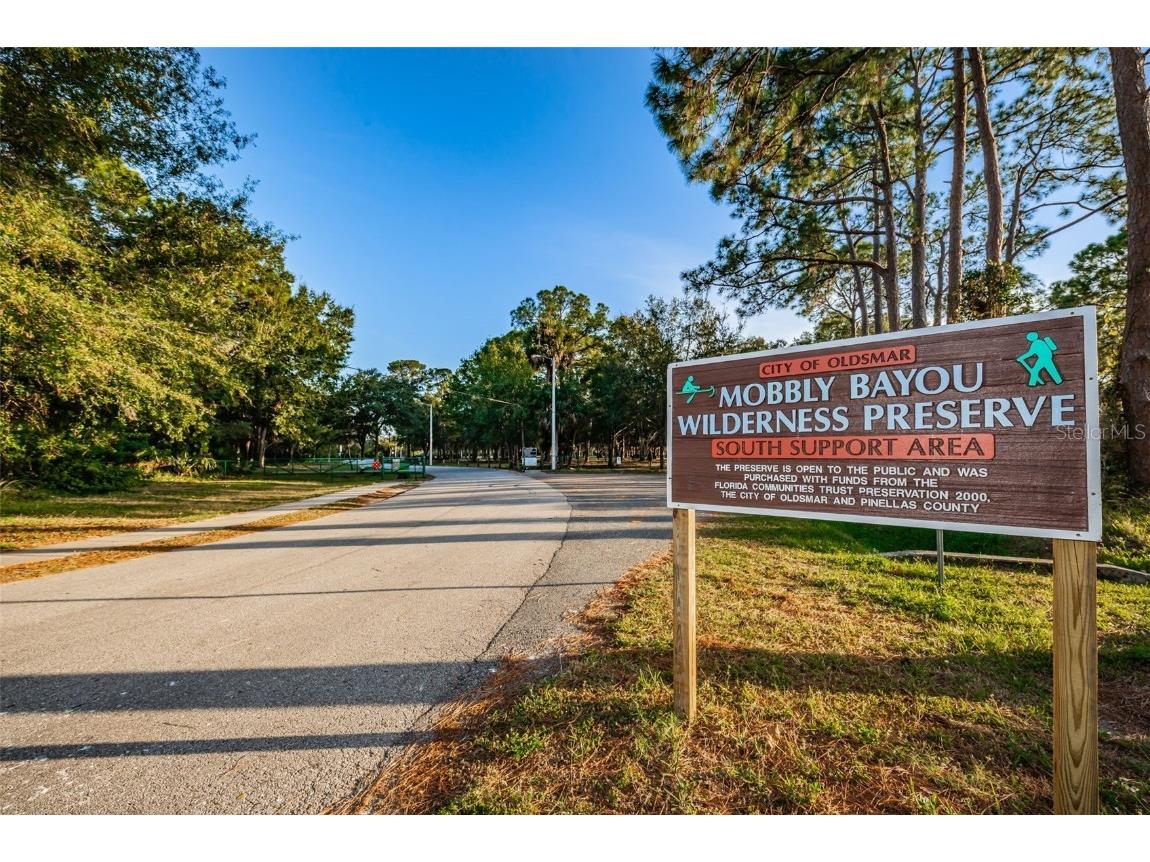 646 Timber Bay Circle W Oldsmar FL 34677 W7879421 image43