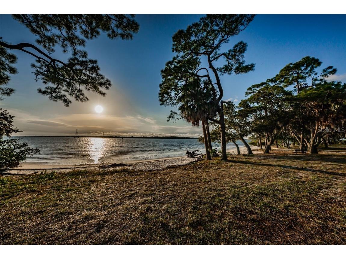 646 Timber Bay Circle W Oldsmar FL 34677 W7879421 image45