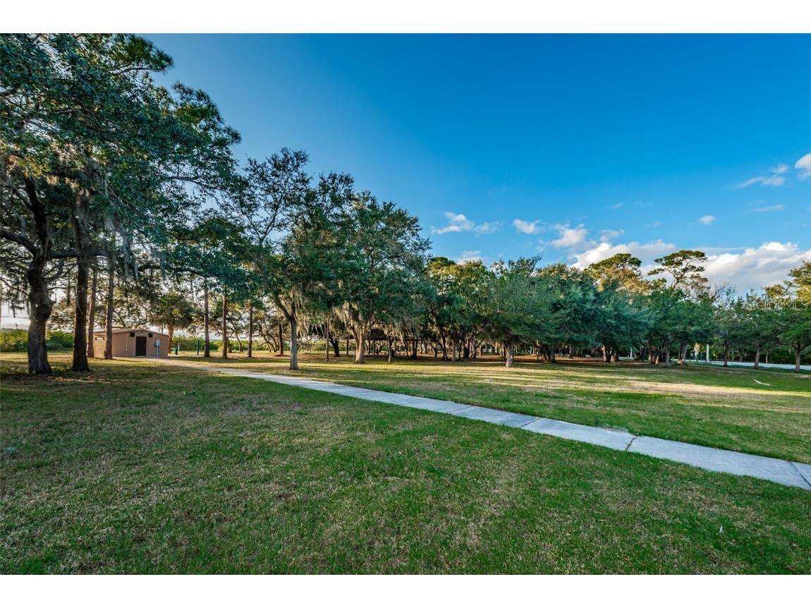 646 Timber Bay Circle W Oldsmar FL 34677 W7879421 image47