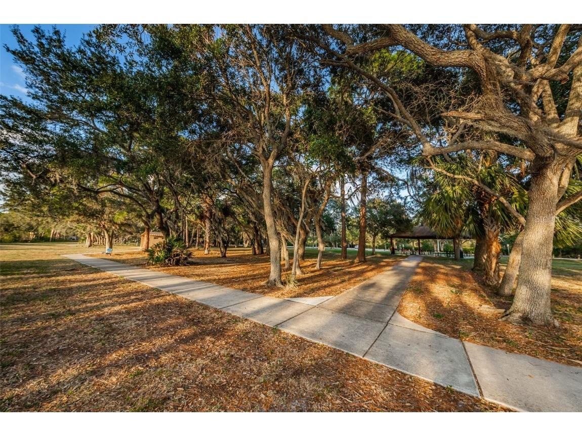 646 Timber Bay Circle W Oldsmar FL 34677 W7879421 image49